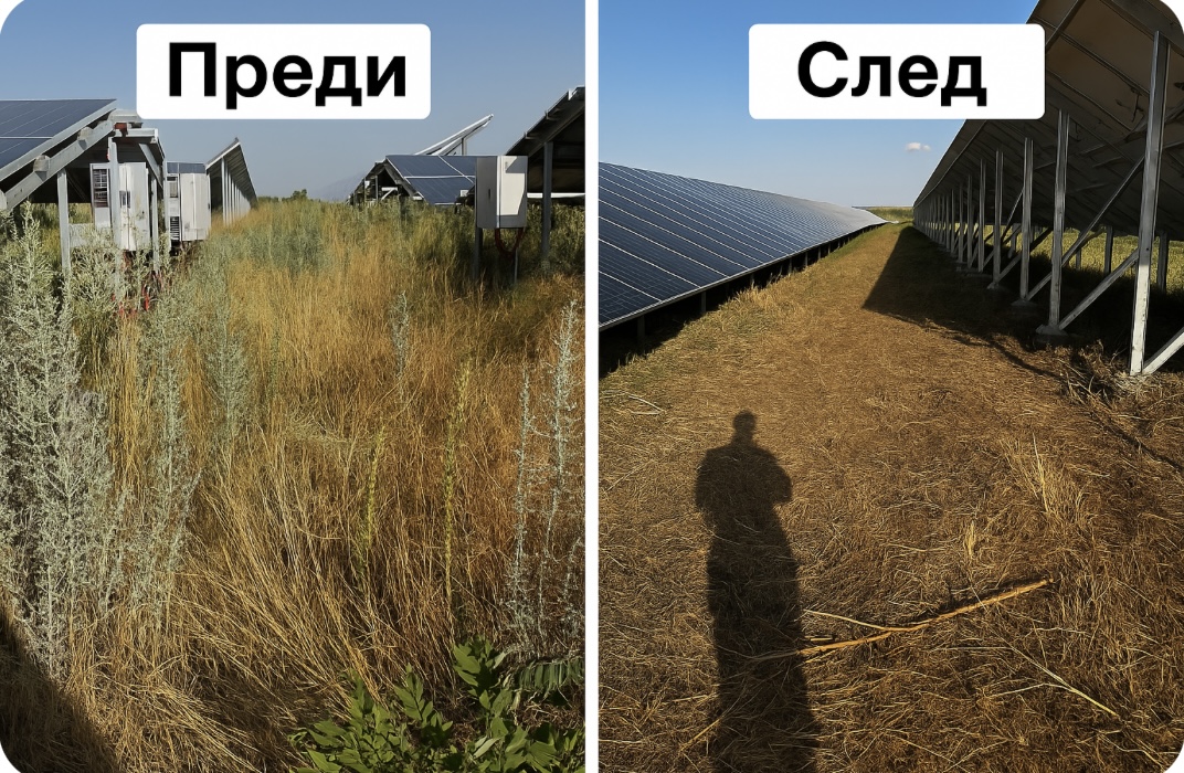 Преди и след косене на растителността